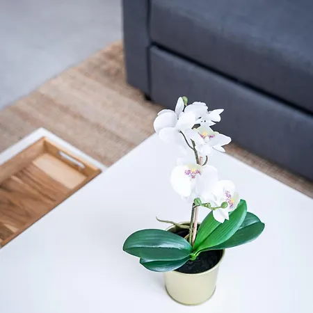 Le Cool Plex Duplex Avec Jardin, Disney 10Mn Esbly Esterno foto