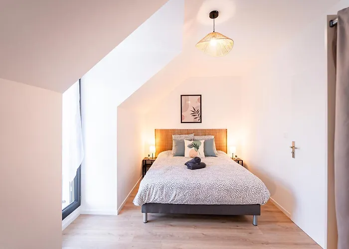 Le Cool Plex Duplex Avec Jardin, Disney 10Mn