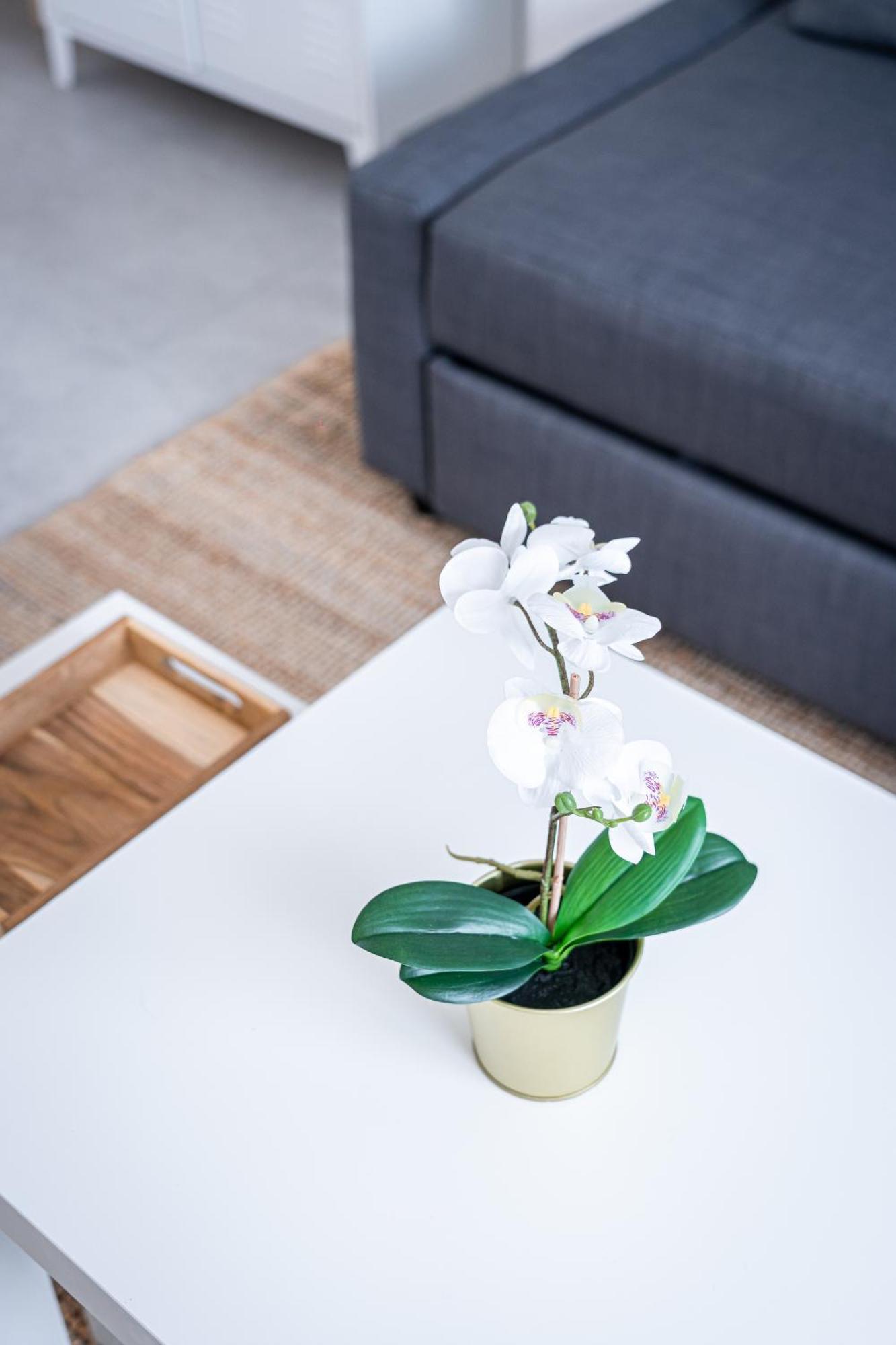 Le Cool Plex Duplex Avec Jardin, 10mn Appartement